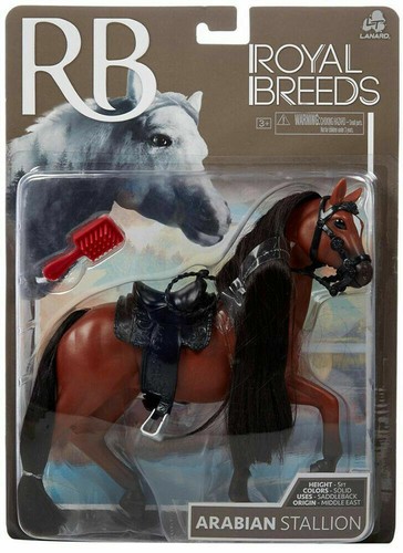 Cavallo arabo arabian stallion - arabo,