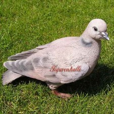 Statua colomba grigia statua