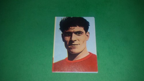Figurina calciatori mondiali - figurina,