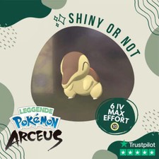 Cyndaquil Shiny ✨ Legends
