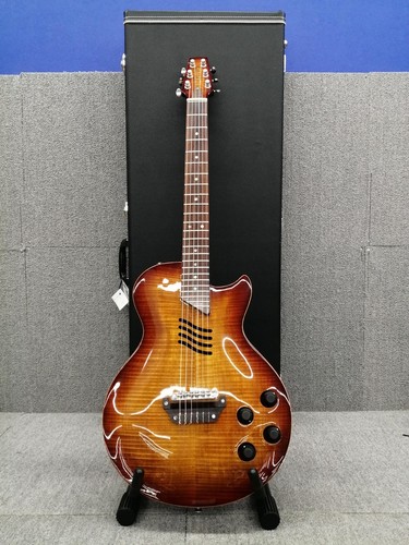 Chitarra elettrica acustica