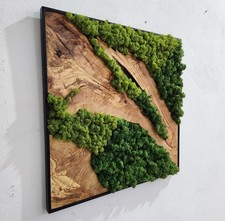 Decorazione murale in muschio