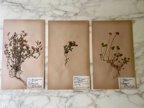 Set rare vintage - of,