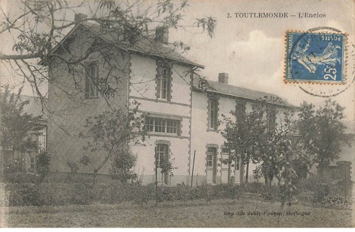 Tuttilmondo al00396 - 49,