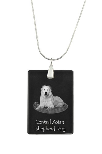 Cane pastore dell asia - cane,