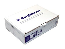 Centralina candelette Con emissione bagliore residuo GSE138 BorgWarner (BERU)