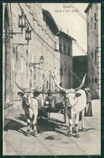 Siena Città Costumi Carro Buoi cartolina QQ1753