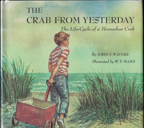 The crab from yesterday - crab, yesterday.