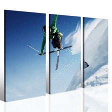 Canvas Sci Freestyle - Salto