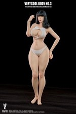 Stock MOLTO COOL VCD-03C 1/6