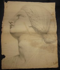 XIX secolo Disegno su carta -  profilo classico cm 56 x cm 43