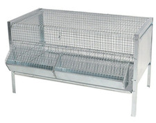 GABBIE GABBIA PULCINI