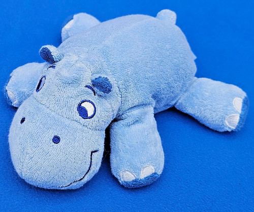 Tcm nils ippopotamo animale - tcm,