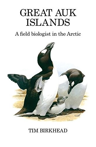 Great auk islands - great, a