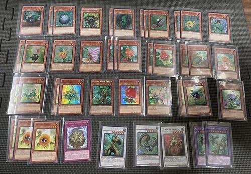 Yugioh naturia deck core - yugioh,
