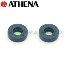 ATHENA 2 PARAOLI REVISIONE POMPA ACQUA ROTAX 122 123