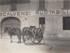 Foto carro agricolo cavallo