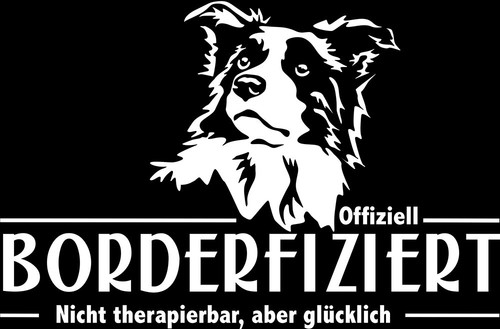 Adesivo auto border collie - border,