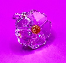 Swarovski  Gift  2017 SCS Wild