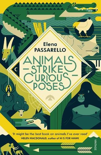 Animals strike curious poses - curious,