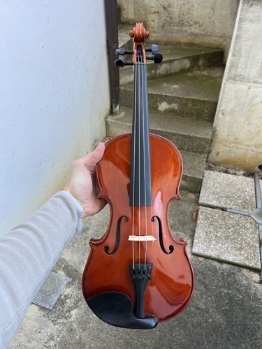 Violino liuteria scarli di - scarli,