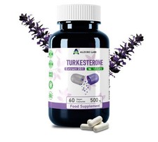 Turkesterone 500mg Forte