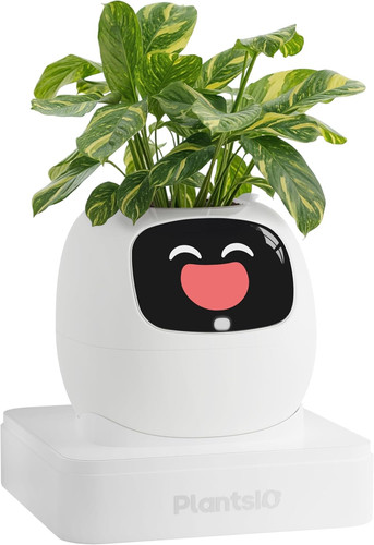 Ivy vaso da fiori - vaso,