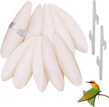 10 Pezzi Osso Di Seppia per