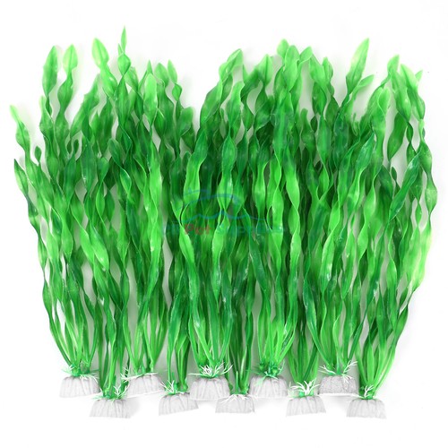 Aquaneat pesciera piante - aquaneat,
