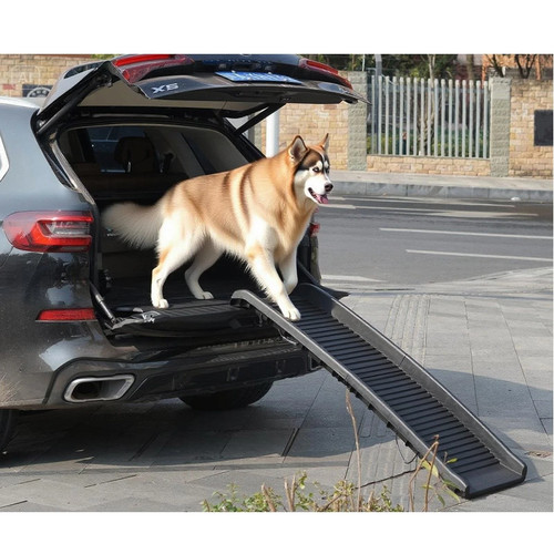 Rampa per cani animali