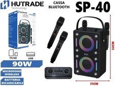 Cassa Amplificata Sp-40 90W