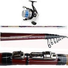 canna da pesca bolognese