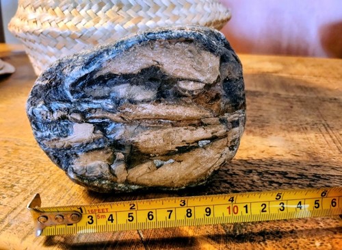 Fossilised tooth found in - found,