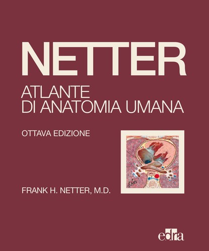 Netter atlante anatomia - netter.,