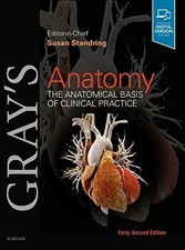 Gray's Anatomy: The Anatomical