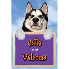 Insegna GATTI NON SONO I