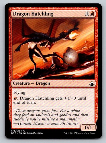 Dragon hatchling core set - hatchling,