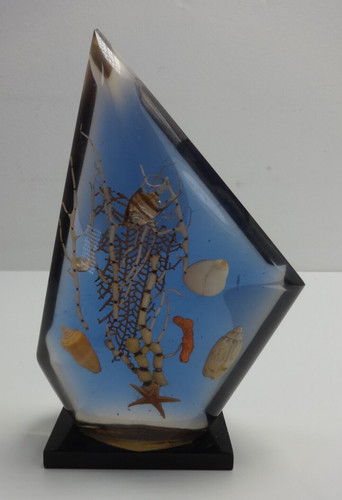 Coral display acrylic ornament - display,