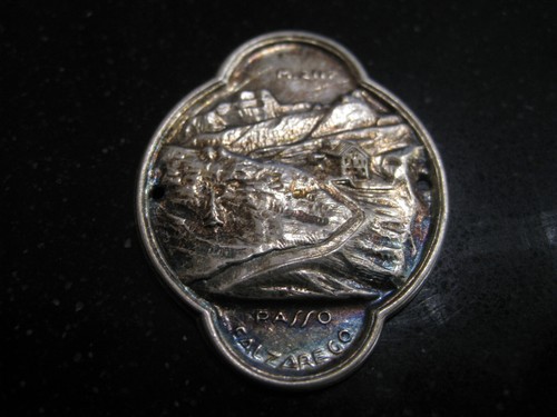 Distintivo placca bastone - distintivo,
