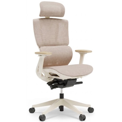 Sedia ufficio ergonomica - da,