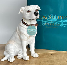 White Staffordshire Bull