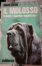 Il Molosso (Mastino