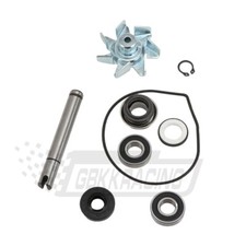 Kit riparazione pompa acqua