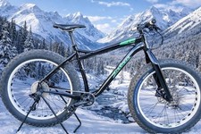 Fat bike salsa mukluk 26x40 - fat,