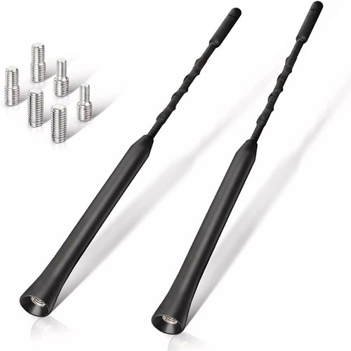 Antenna auto asta tetto