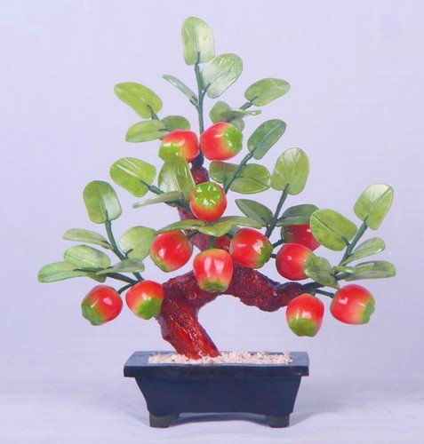 Bonsai giada cinese 12 - bonsai,