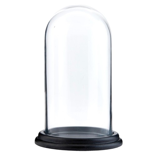 Espositore vetro cloche - espositore,
