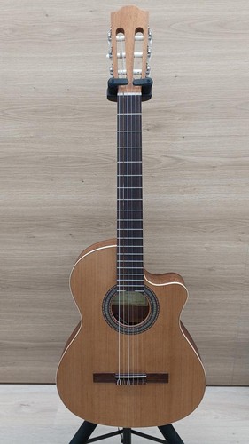 Chitarra acustica elettrica