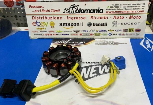 Statore magnete piaggio - magnete,