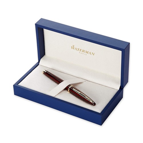 Penna stilografica waterman - penna,